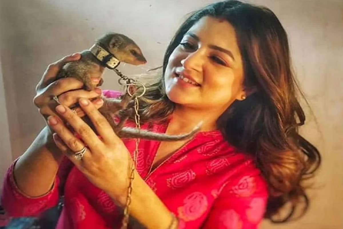 এই সেই ছবি