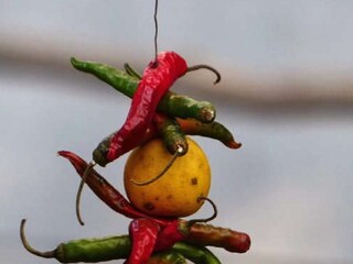 বাড়ির প্রবেশপথে লেবু-লঙ্কা ঝুলিয়ে রাখার বৈজ্ঞানিক কারণ জানেন কি?