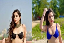 বিকিনি পরে ফুল নিতে গাছে উঠেছিলেন, নামার সময়ে কী কাণ্ড ঘটল? উরফির কাণ্ড ভাইরাল..