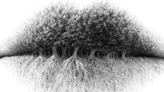 দেখে নিন এই ছবিটি। 