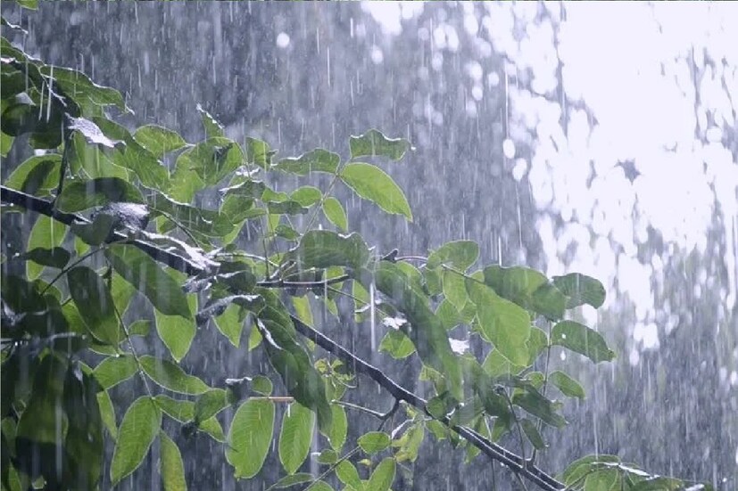 নাগাল্যান্ড-মনিপুরে বিচ্ছিন্নভাবে ভারী বৃষ্টির পূর্বাভাস দেওয়া হয়েছে ৩ এপ্রিল। অরুণাচল প্রদেশ, অসম, মেঘালয়ে বিচ্ছিন্নভাবে ভারী বৃষ্টিপাতের পূর্বাভাস দেওয়া হয়েছে ৫ এপ্রিল। ৪ এপ্রিল একই পরিস্থিতি তৈরি হতে পারে হিমালয় সংলগ্ন পশ্চিমবঙ্গ এবং সিকিমে।