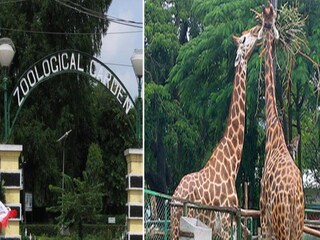 রাজ্য বন দফতরের উদ্যোগ 