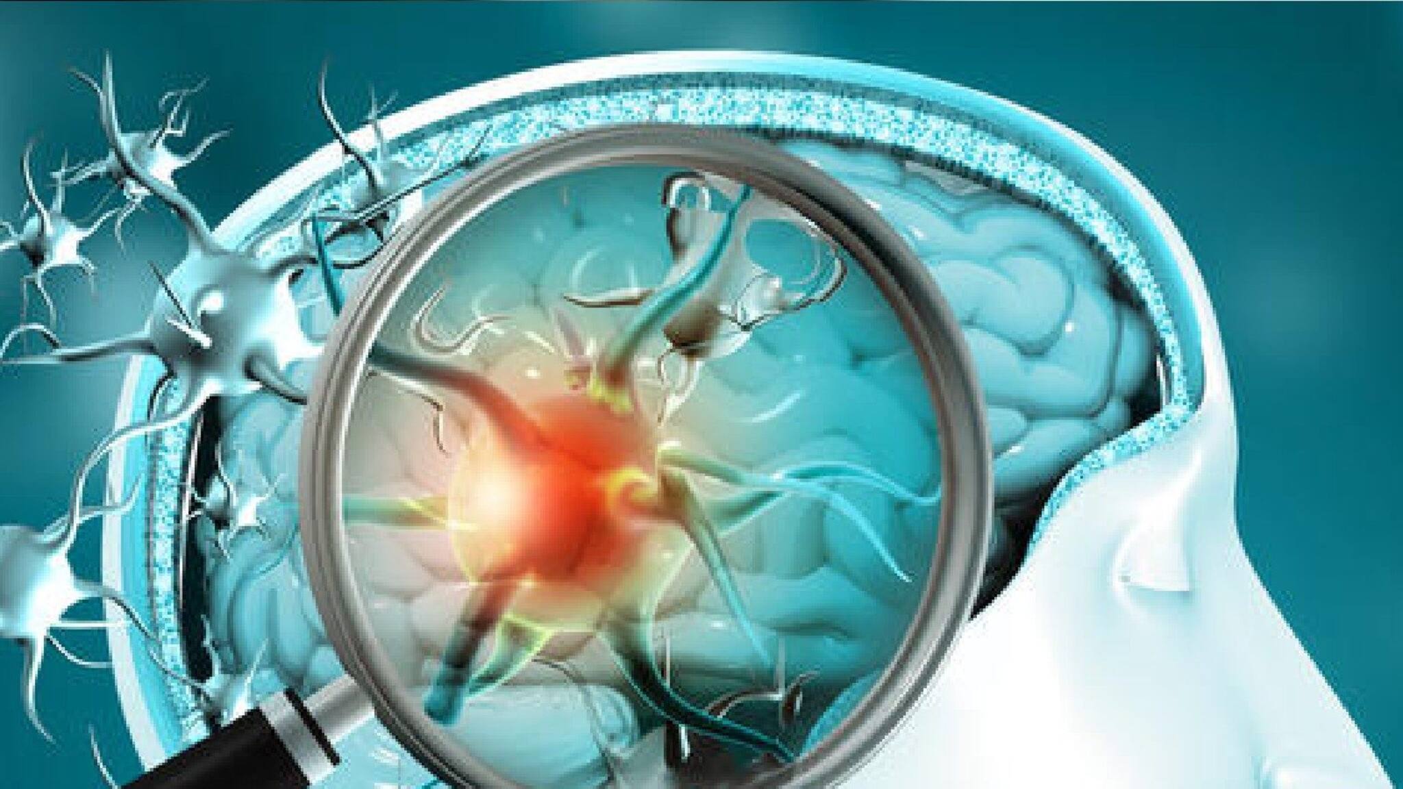 Coronavirus Affects Brain: প্রভাব পড়ে মারাত্মক, করোনাভাইরাস কীভাবে ক্ষতি করছে আক্রান্তের মস্তিষ্কের?