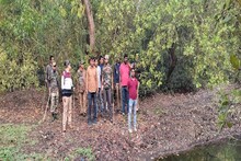 খেজুরিতে ত্রাস, ঘরবন্দি মনুষজন, বুনো শূকরের আক্রমণে মৃত ১, গুরুতর আহত ৮