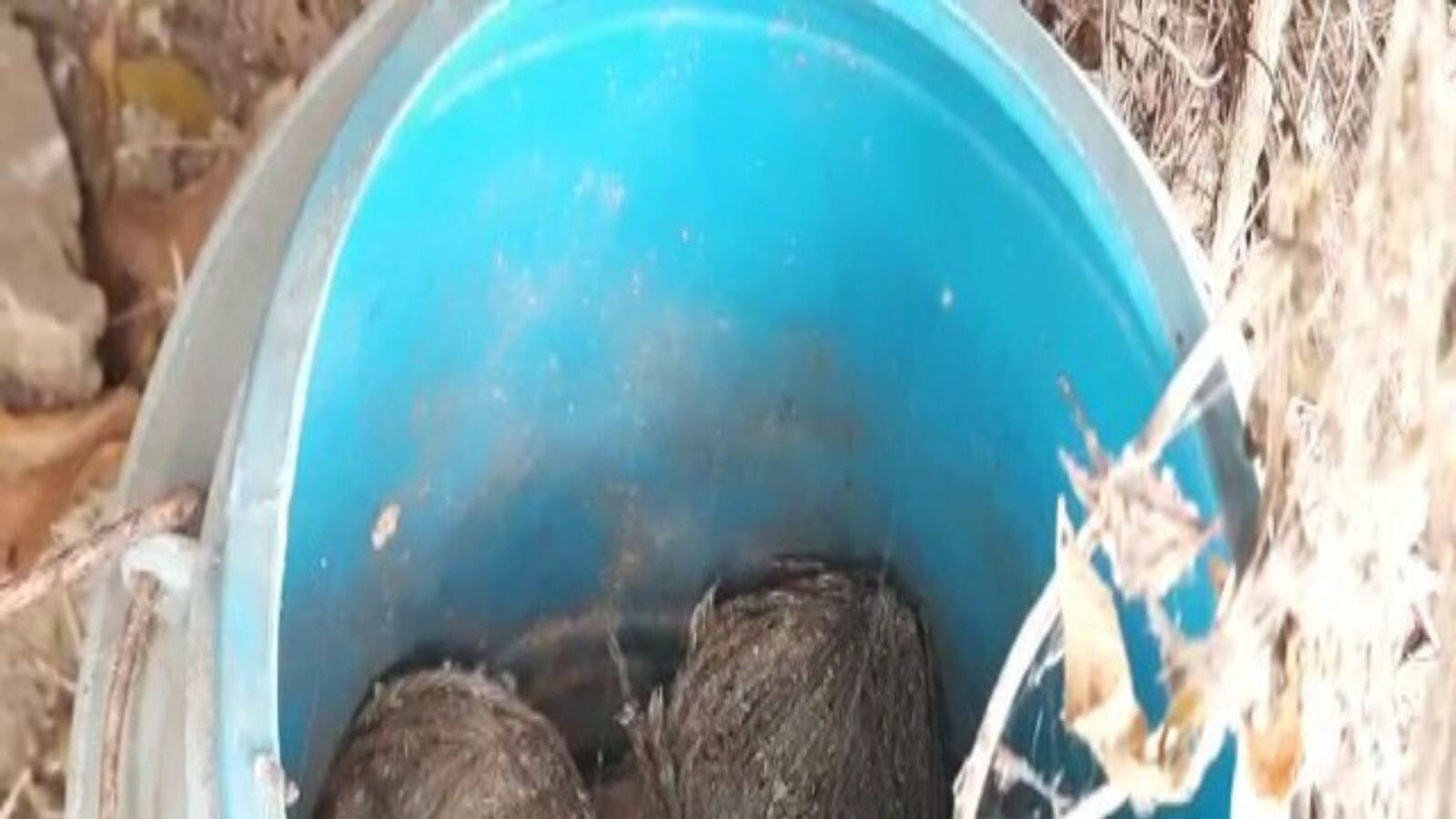 Bangla News Bomb and Fire arms recovered from different part of