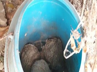 মুর্শিদাবাদে বোমা উদ্ধার, ফাইল ছবি