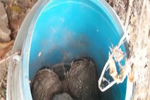 সক্রিয় প্রশাসন, রাজ্য়ের বেশ কিছু জায়গায় একই দিনে বোমা উদ্ধার সক্রিয় প্রশাসন, রাজ্য়ের বেশ কিছু জায়গায় একই দিনে বোমা উদ্ধার