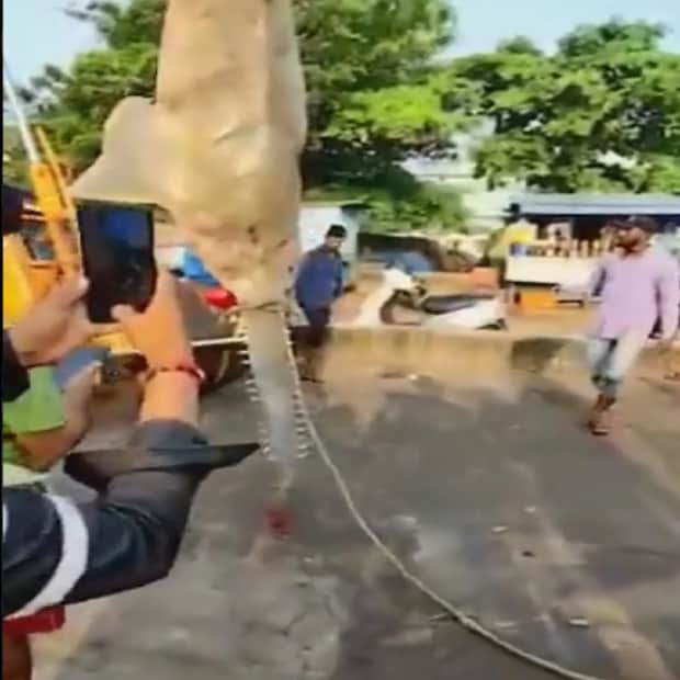 প্রায় ২৫০ কিলোগ্রাম ওজনের করাত মাছটি গভীর সমুদ্রে মাছ ধরার নৌকা 'সি ক্যাপ্টেনে' জেলেদের হাতে ধরা পড়ে। মালপে মৎস্য বন্দরে আনার পরে ম্যাঙ্গালুরুর একজন ব্যবসায়ী মাছটি কিনে নেন। কার্পেন্টার হাঙর বিপন্ন এবং সংরক্ষিত প্রজাতির মাছ। 
