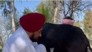 ছবি: ট্যুইটার ছবি: ট্যুইটার