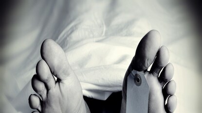 প্রতীকী ছবি। প্রতীকী ছবি।