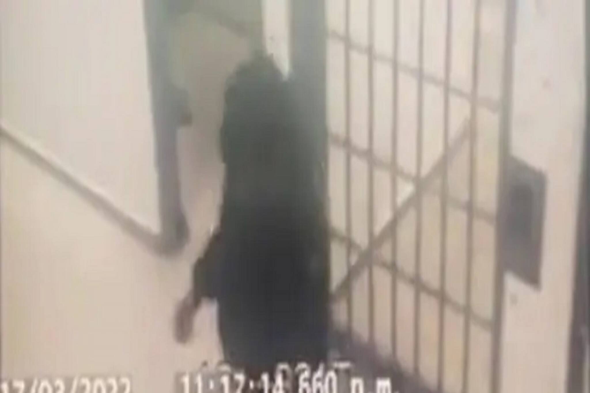 ইনি কলম্বিয়ার ১ নম্বর ড্রাগ মাফিয়া, জেলে যা করলেন, সেই ভিডিও গোটা বিশ্বে ভাইরাল!