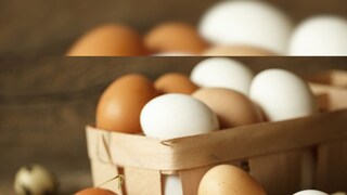 জেনে রাখা ভাল, সাধারণত পোলট্রির ডিম হয় সাদা রঙের। এই মুরগির সাধারণত সাদা রোম থাকে। অপরদিকে অনেক মুরগির রং হয় বাদমি। তাদের ডিমের রংও হয়ে থাকে বাদামি। তবে বুঝতে হবে, এক্ষেত্রে সাদা পোলট্রি বড় করা ও প্রতিপালন করা অনেকটাই সোজা। তাই এই মুরগির ডিমই বেশি চোখে পরে বাজারে বা দোকানে।