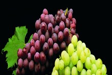 কালো না সবুজ? কোন আঙুর আপনার জন্য বেশি উপকারী? না জানলে অবশ্যই জানুন!