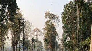 চা বাগানে রহস্য মৃত্যু 