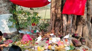 প্রকৃতির উপাসক রাভা জনগোষ্ঠী! দোল পূর্ণিমায় বুড়াঠাকুরের পুজোয় মাতেন এই জাতির মানুষ প্রকৃতির উপাসক রাভা জনগোষ্ঠী! দোল পূর্ণিমায় বুড়াঠাকুরের পুজোয় মাতেন এই জাতির মানুষ