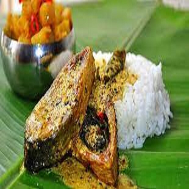 তাড়াতাড়ি খাবার খাওয়ার ফাঁদে পা দিলে ভয়ঙ্কর সমস্যা দেখা দেয়, রক্তে শর্করার পরিমাণ ক্রমশই বেড়ে যায় ৷ ফলে ডায়বেটিস হতে পারে ৷ প্রতীকী ছবি ৷ 