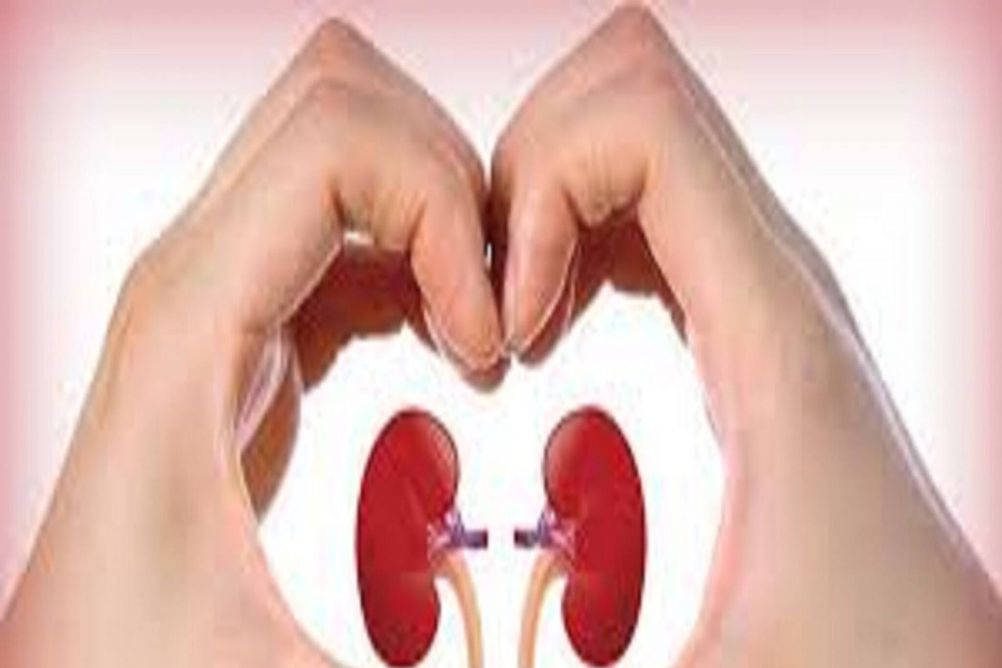 এই পাঁচ অভ্যাসই শেষ করে দেয় শরীর! কিডনির বিশাল ক্ষতিতে জীবনের বিরাট ঝুঁকি