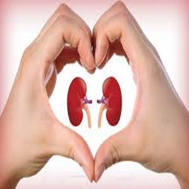 অতিরিক্ত মদ্যপান (Alcohol) করলে কিডনির সমস্যা (Chronic Kidney Disease) শুরু হয় শরীরে ৷ তাই সব থেকে ভাল তখনই হতে পারে যখন মদকে চিরতরে টাটা করা যাবে তখনই ৷ প্রতীকী ছবি ৷
