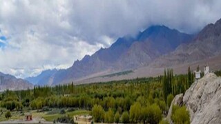 কতজন কিনলেন জমি?