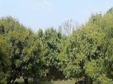 প্রতীকী চিত্র
