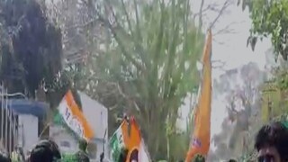 উত্তরবঙ্গে সবুজ ঝড়