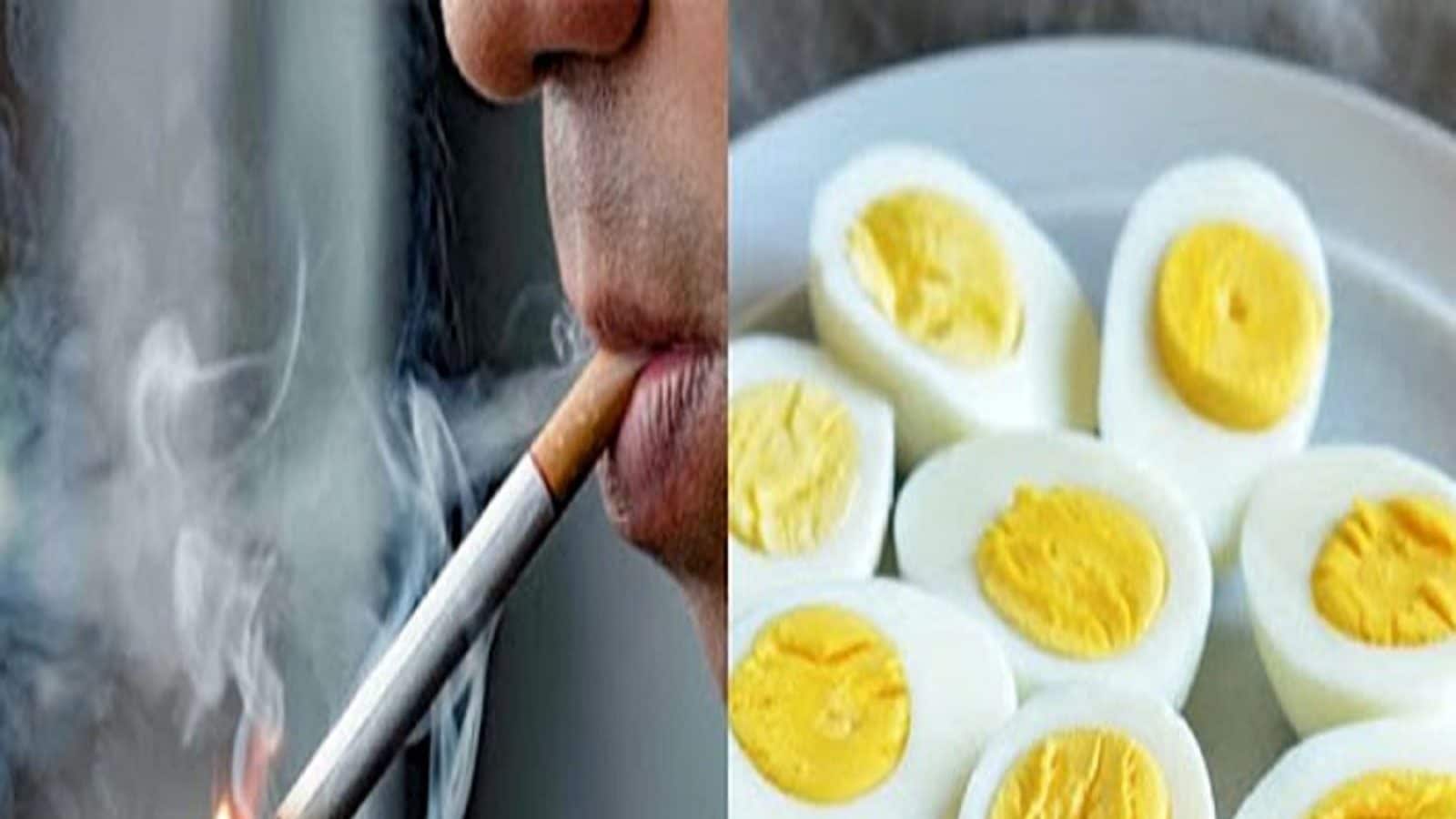 Egg Vs Cigarettes সিগারেটের থেকেও বেশি ক্ষতিকারক ডিম? জানুন