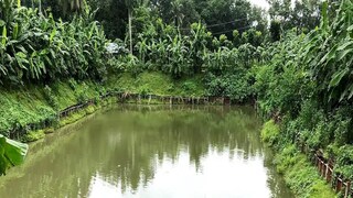 প্রতীকী চিত্র