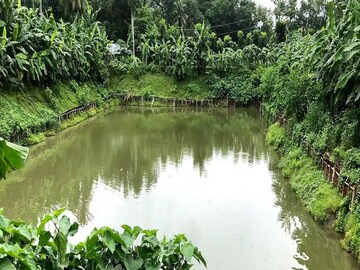 প্রতীকী চিত্র