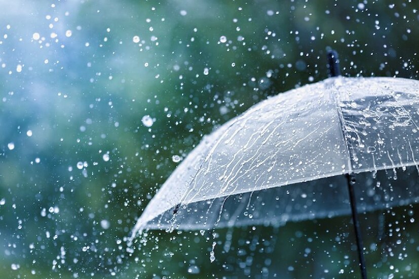 *দক্ষিণ ভারতে বেশ কিছু রাজ্যে বৃষ্টি (Rainfall) চলবে। বৃষ্টি বেশি হবে তামিলনাড়ুতে। ১২ থেকে ১৪ মার্চ আগামী চার পাঁচদিন কেরালা ও মাহে-তে বৃষ্টির পূর্বাভাস রয়েছে। ফাইল ছবি। 