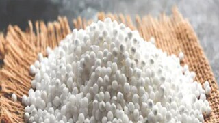 উপবাস ভাঙার পর সাবু খেতে পারেন