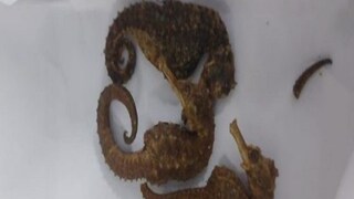 এই সেই সি হর্স