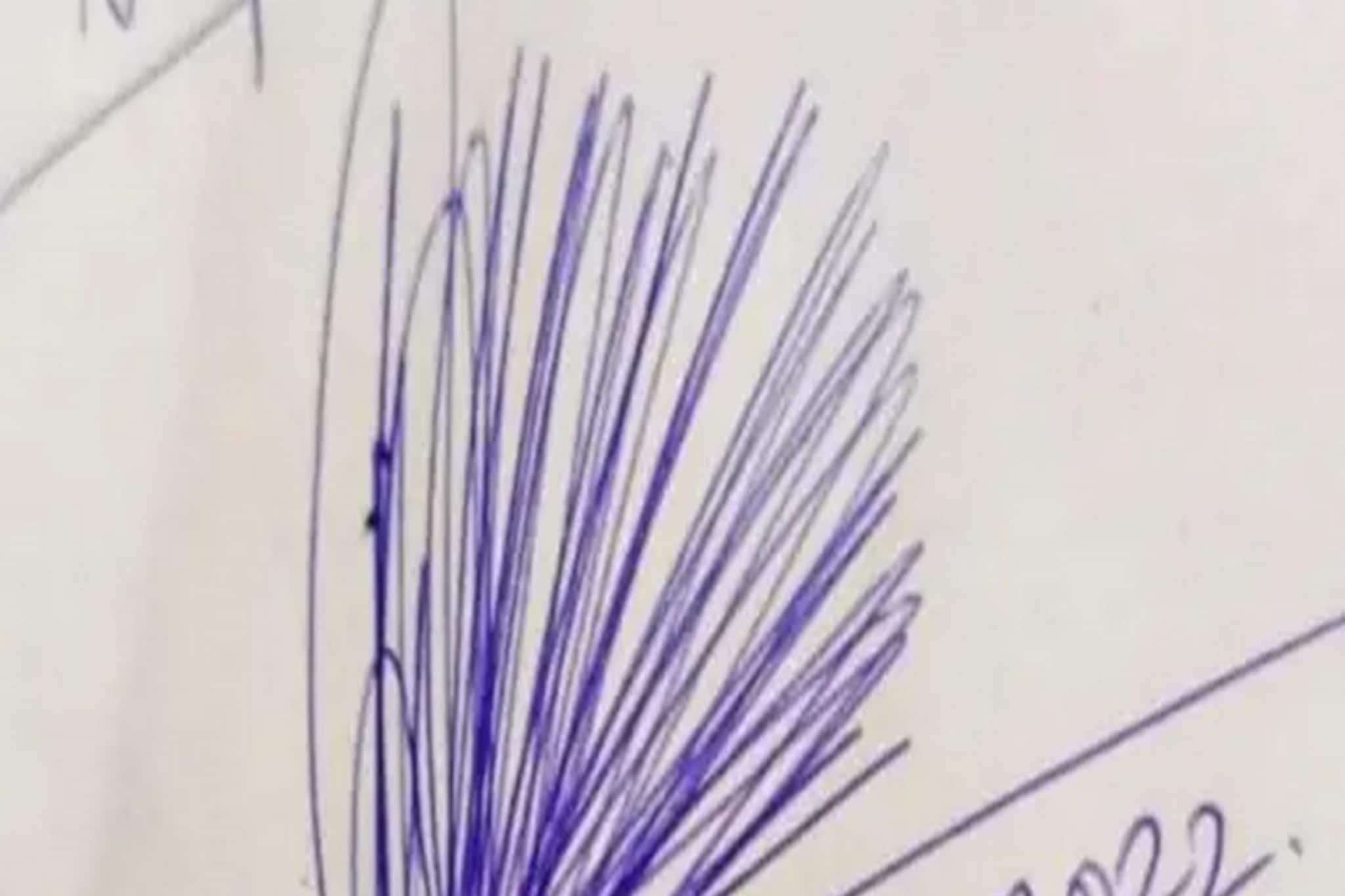 শজারু নাকি ময়ূর! অদ্ভুতুড়ে হিজিবিজি সই নিয়ে তোলপাড় সোশ্যাল মিডিয়া!