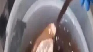 In Nashik, Human Remains Found in Two Drums In Nashik, Human Remains Found in Two Drums