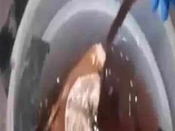 In Nashik, Human Remains Found in Two Drums 