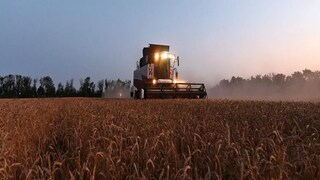 দুনিয়াজুড়ে খাদ্য সংকট? দুনিয়াজুড়ে খাদ্য সংকট?