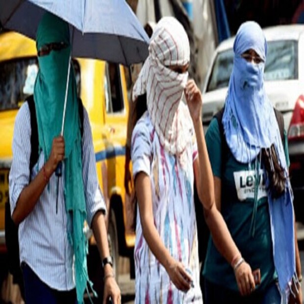 প্রখর গরমে আপনার পেটকে ঠান্ডা রাখবে লিচু এবং শসার মতো ফলগুলি।