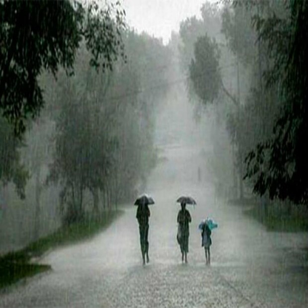 এদিকে বৃষ্টি চলবে উত্তরে। বুধবার পর্যন্ত ভারী বৃষ্টির সম্ভাবনা দার্জিলিং, কালিম্পং, আলিপুরদুয়ার কোচবিহার জলপাইগুড়িতে। 