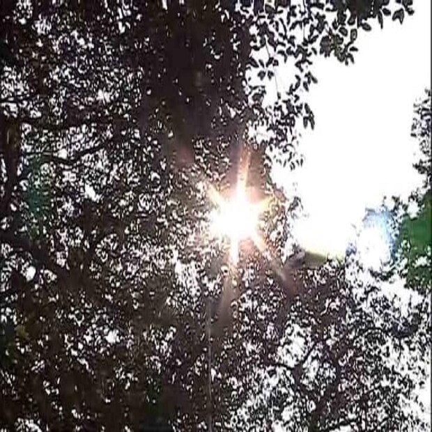 আজ সর্বোচ্চ তাপমাত্রা থাকবে, ৩৫° সেলসিয়াস। সর্বনিম্ন তাপমাত্রা ২৭° সেলসিয়াস। বাতাসে আর্দ্রতার পরিমাণ ৯২%। বাতাসের গতি ১৬.৭ কিমি প্রতি ঘণ্টায়। মোটের ওপর বিক্ষিপ্ত মেঘলা আকাশ থাকবে আজ। কখনও থাকবে রৌদ্রোজ্জ্বল।