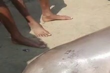 সাতসকালে গঙ্গার পাড়ে ভিড়, জলে ভেসে থাকা মৃতদেহ দেখে মন খারাপ সবার