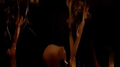 Bangla News Bangla News