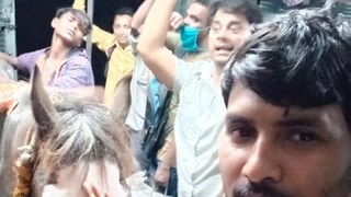 রেলে চেপে ঘোড়া ভ্রমণ, গ্রেফতার ঘোড়ার মালিক 