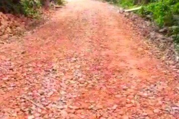 বেহাল