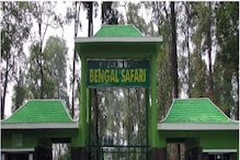ছুটে যেতে হবে না অন্য কোথাও,১ বৈশাখে নতুন অ্যাডভেঞ্চার শুরু বেঙ্গল সাফারি পার্কে ছুটে যেতে হবে না অন্য কোথাও,১ বৈশাখে নতুন অ্যাডভেঞ্চার শুরু বেঙ্গল সাফারি পার্কে