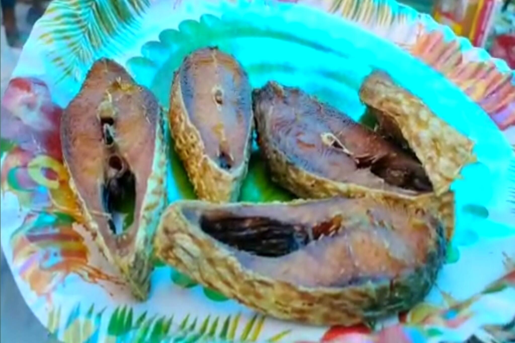 North 24 Parganas: ওপার বাংলার ইলিশে এপার বাংলায় নববর্ষ পালন