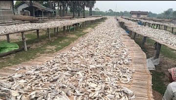 সাতটারি