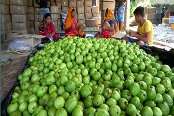 চলছে