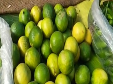 Lemon price hike