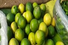 পাতিলেবুর চড়া দামে ছ্যাঁকা, এঁদের মতো আপনিও বেছে নিন কাঁচা আম পাতিলেবুর চড়া দামে ছ্যাঁকা, এঁদের মতো আপনিও বেছে নিন কাঁচা আম