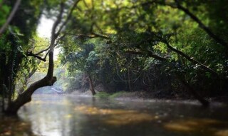 কনক দুর্গা মন্দির (চিলকিগড়)