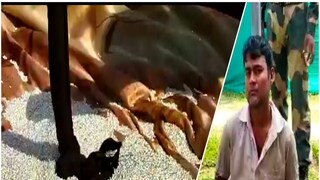 Murshidabad News: BSF recovered illegal silver worth 65 thousand rupees 